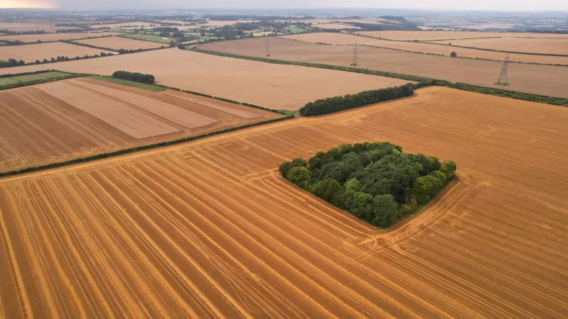 Fields of Data: The Yawning Gap Between Precision Agriculture and Britain's Land Classification System