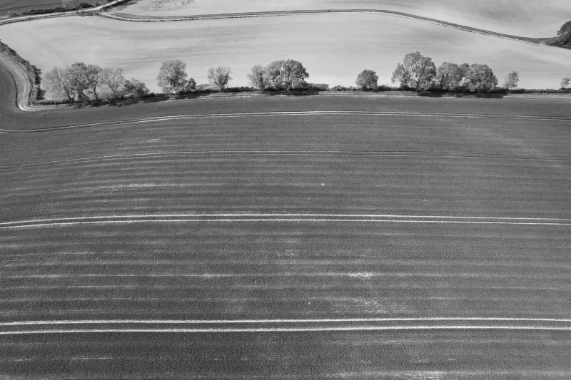 The Green Ledger: Five Ways Biodiversity Net Gain Is Rewriting the Rules of Britain's Geospatial Economy