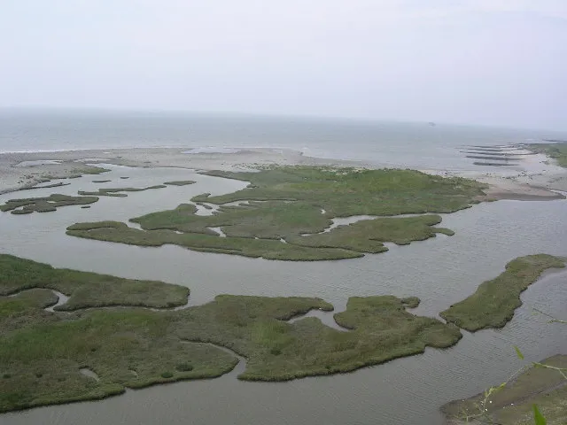 The Tide Does Not Negotiate: Britain's Intertidal Planning Crisis and the Battle for a Legal Shoreline