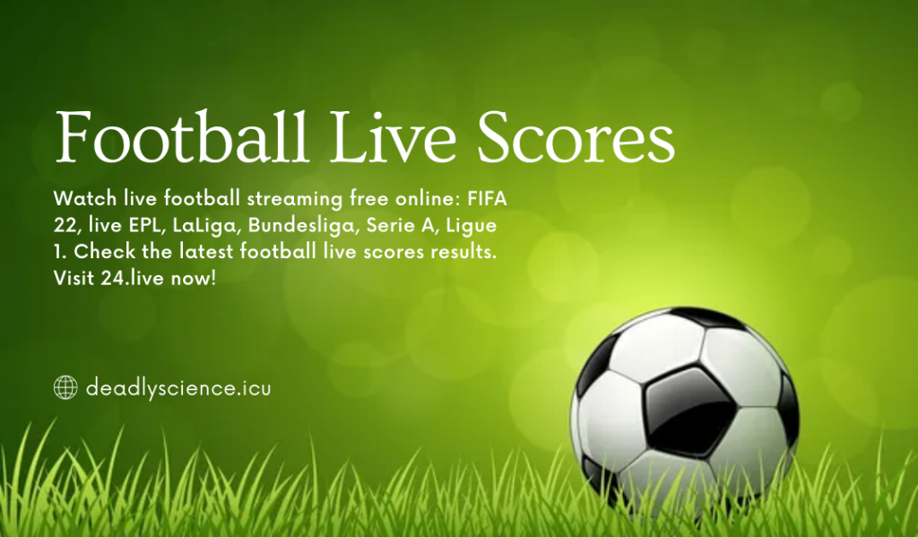 Free Online Soccer Games